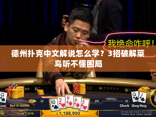 德州扑克中文解说怎么学？3招破解菜鸟听不懂困局