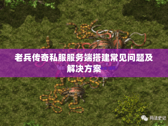 老兵传奇私服服务端搭建常见问题及解决方案