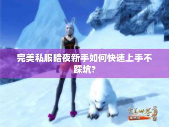 完美私服暗夜新手如何快速上手不踩坑?
