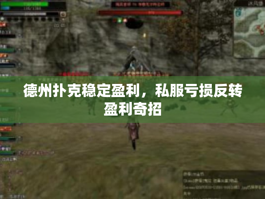 德州扑克稳定盈利，私服亏损反转盈利奇招