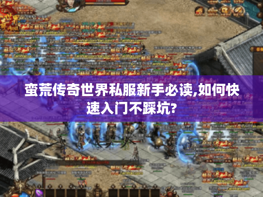 蛮荒传奇世界私服新手必读,如何快速入门不踩坑?