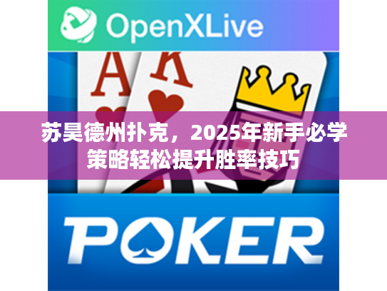 苏昊德州扑克,2025年新手必学策略轻松提升胜率技巧 苏昊德州扑克,2025年新手必学策略轻松提升胜率技巧