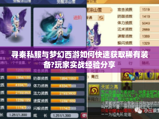寻秦私服与梦幻西游如何快速获取稀有装备?玩家实战经验分享