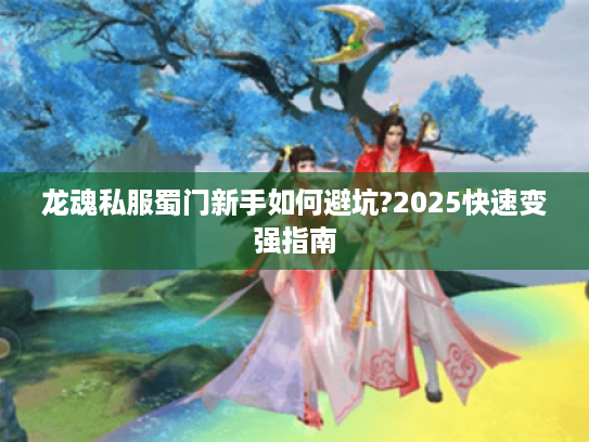 龙魂私服蜀门新手如何避坑?2025快速变强指南