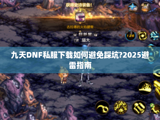 九天DNF私服下载如何避免踩坑?2025避雷指南