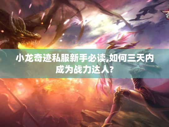 小龙奇迹私服新手必读,如何三天内成为战力达人?