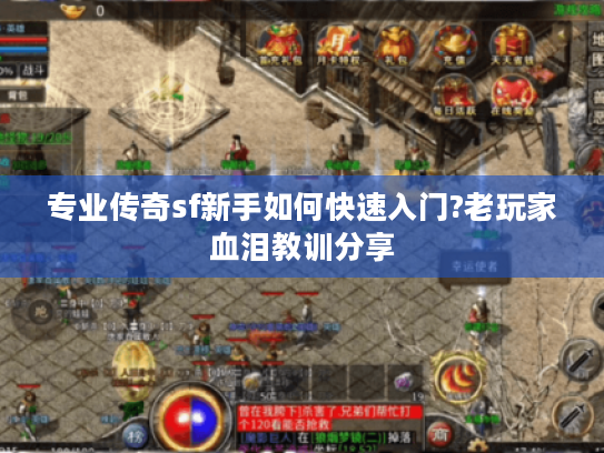 专业传奇sf新手如何快速入门?老玩家血泪教训分享