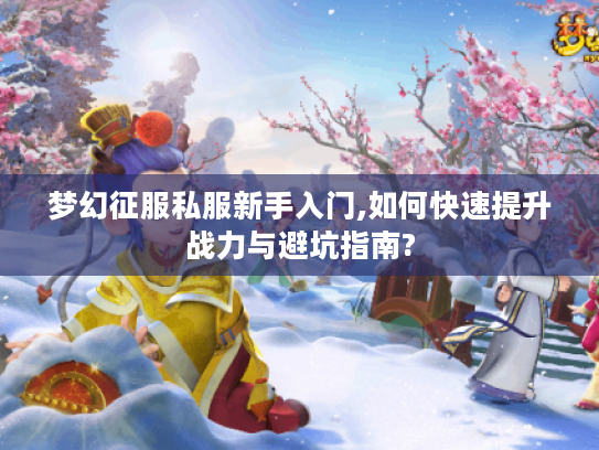 梦幻征服私服新手入门,如何快速提升战力与避坑指南?