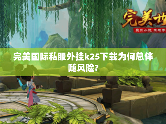 完美国际私服外挂k25下载为何总伴随风险?