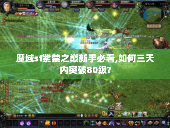 魔域sf紫禁之巅新手必看,如何三天内突破80级? 魔域sf紫禁之巅新手必看,如何三天内突破80级?