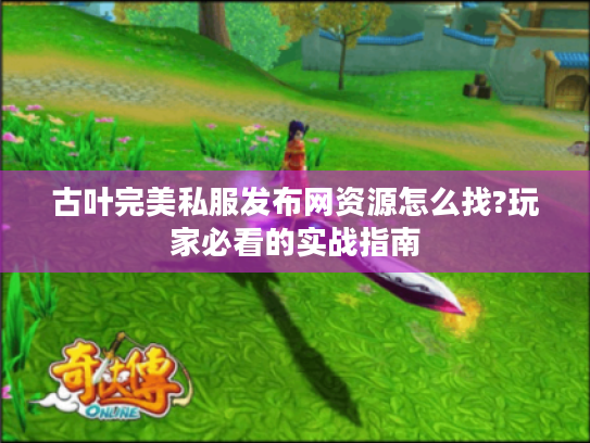 古叶完美私服发布网资源怎么找?玩家必看的实战指南