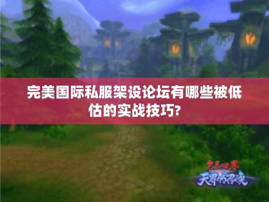 完美国际私服架设论坛有哪些被低估的实战技巧?