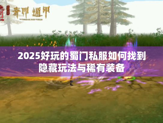 2025好玩的蜀门私服如何找到隐藏玩法与稀有装备