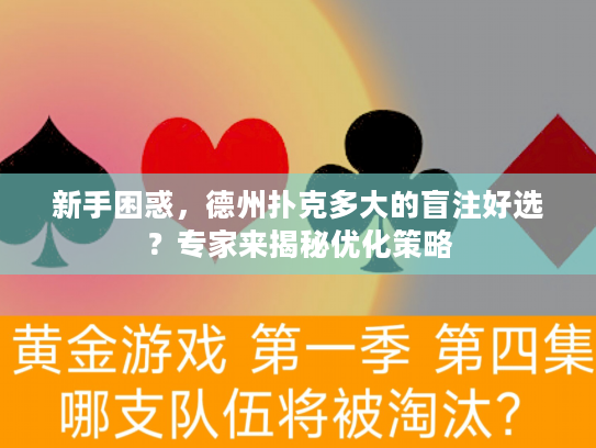 新手困惑，德州扑克多大的盲注好选？专家来揭秘优化策略