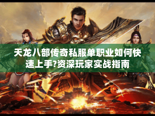 天龙八部传奇私服单职业如何快速上手?资深玩家实战指南