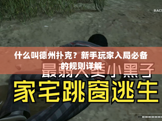 什么叫德州扑克？新手玩家入局必备的规则详解