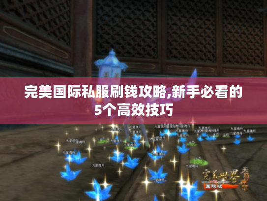 完美国际私服刷钱攻略,新手必看的5个高效技巧