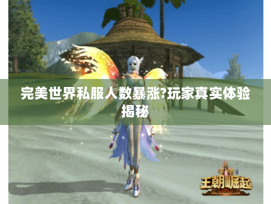 完美世界私服人数暴涨?玩家真实体验揭秘