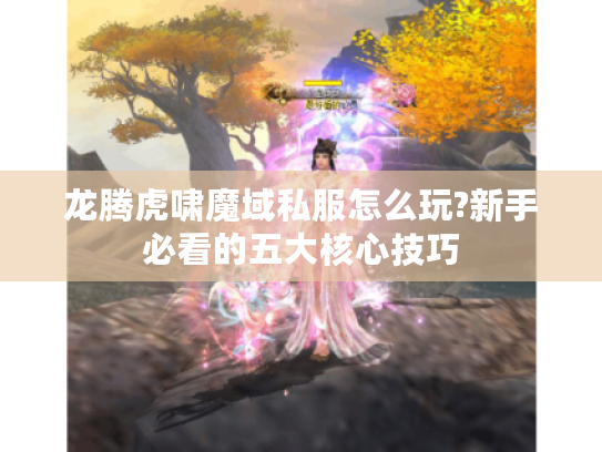 龙腾虎啸魔域私服怎么玩?新手必看的五大核心技巧