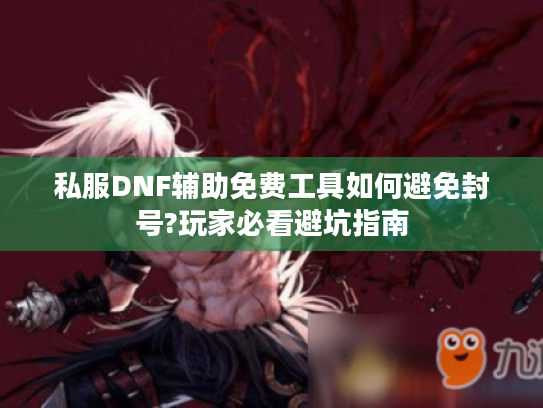 私服DNF辅助免费工具如何避免封号?玩家必看避坑指南