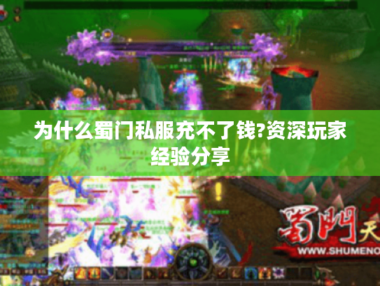 为什么蜀门私服充不了钱?资深玩家经验分享