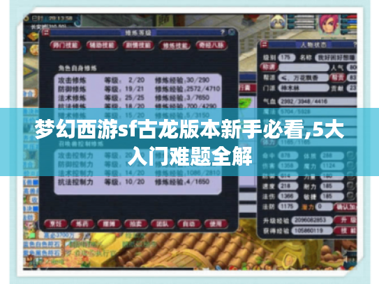 梦幻西游sf古龙版本新手必看,5大入门难题全解