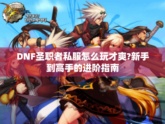 DNF圣职者私服怎么玩才爽?新手到高手的进阶指南