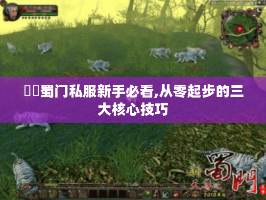 變態蜀门私服新手必看,从零起步的三大核心技巧