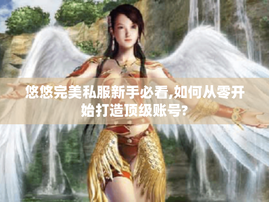 悠悠完美私服新手必看,如何从零开始打造顶级账号?
