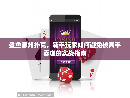 鲨鱼德州扑克,新手玩家如何避免被高手吞噬的实战指南 鲨鱼德州扑克,新手玩家如何避免被高手吞噬的实战指南