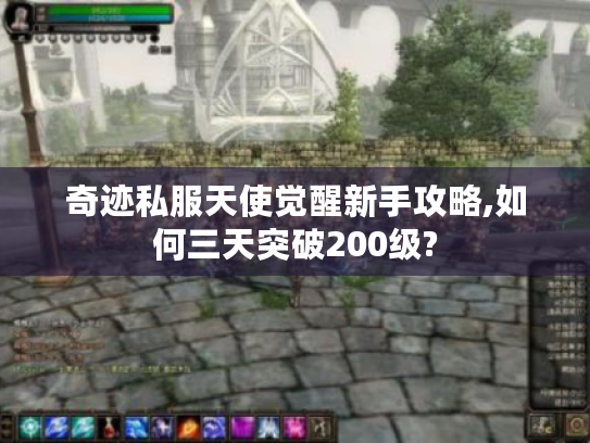 奇迹私服天使觉醒新手攻略,如何三天突破200级?