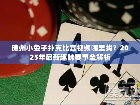 德州小兔子扑克比赛视频哪里找？2025年最新趣味赛事全解析