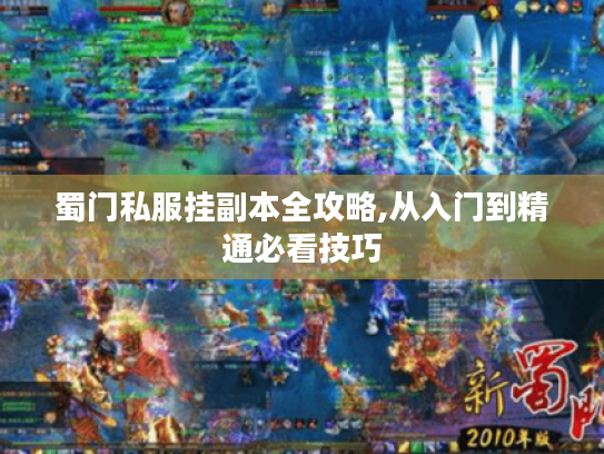 蜀门私服挂副本全攻略,从入门到精通必看技巧