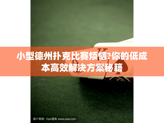 小型德州扑克比赛烦恼?你的低成本高效解决方案秘籍
