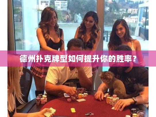 德州扑克牌型如何提升你的胜率? 德州扑克牌型如何提升你的胜率?