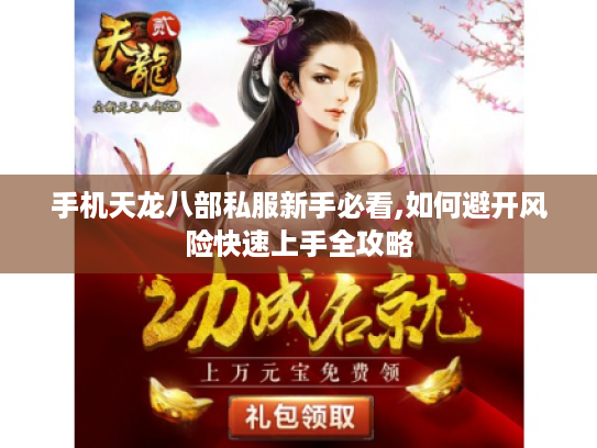 手机天龙八部私服新手必看,如何避开风险快速上手全攻略 手机天龙八部私服新手必看,如何避开风险快速上手全攻略