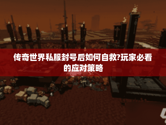 传奇世界私服封号后如何自救?玩家必看的应对策略