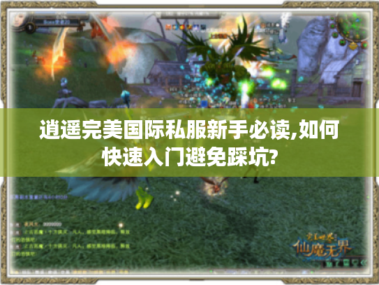 逍遥完美国际私服新手必读,如何快速入门避免踩坑?