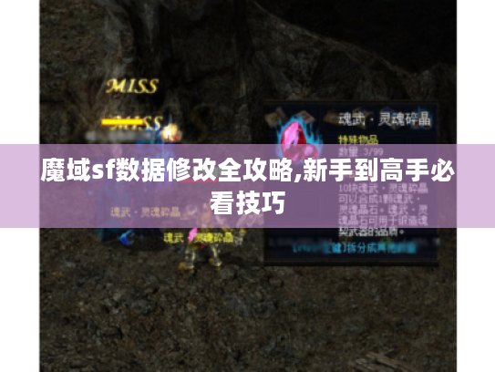 魔域sf数据修改全攻略,新手到高手必看技巧