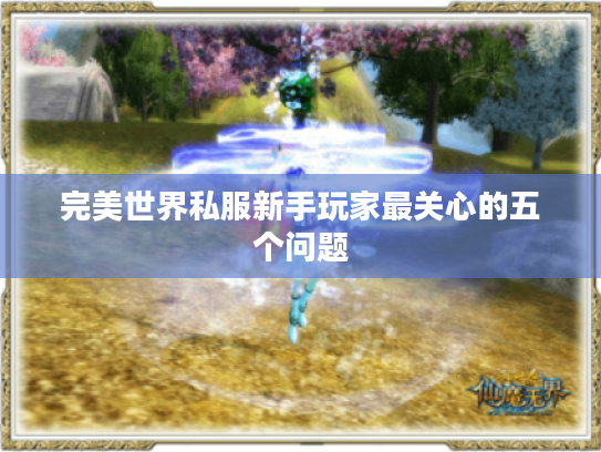 完美世界私服新手玩家最关心的五个问题