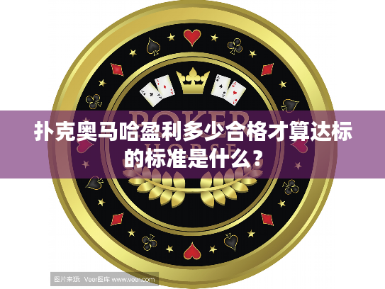 扑克奥马哈盈利多少合格才算达标的标准是什么？