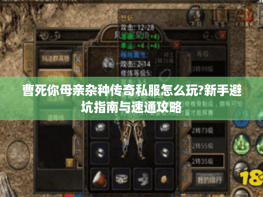 曹死你母亲杂种传奇私服怎么玩?新手避坑指南与速通攻略 曹死你母亲杂种传奇私服怎么玩?新手避坑指南与速通攻略