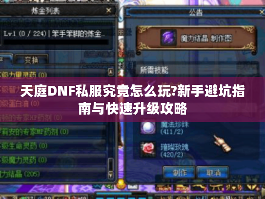 天庭DNF私服究竟怎么玩?新手避坑指南与快速升级攻略