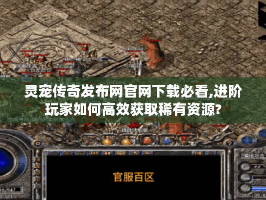 灵宠传奇发布网官网下载必看,进阶玩家如何高效获取稀有资源?