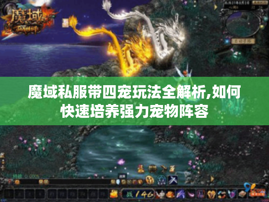 魔域私服带四宠玩法全解析,如何快速培养强力宠物阵容