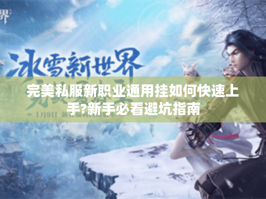 完美私服新职业通用挂如何快速上手?新手必看避坑指南 完美私服新职业通用挂如何快速上手?新手必看避坑指南