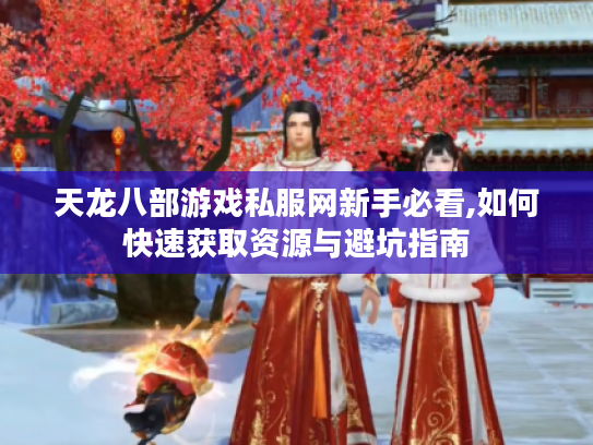天龙八部游戏私服网新手必看,如何快速获取资源与避坑指南