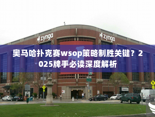 奥马哈扑克赛wsop策略制胜关键？2025牌手必读深度解析