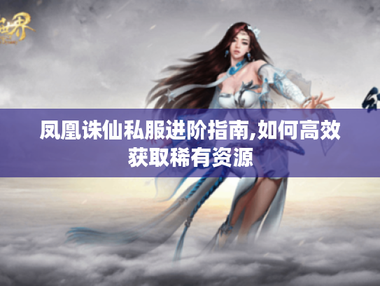 凤凰诛仙私服进阶指南,如何高效获取稀有资源