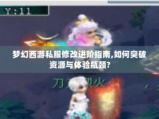 梦幻西游私服修改进阶指南,如何突破资源与体验瓶颈?